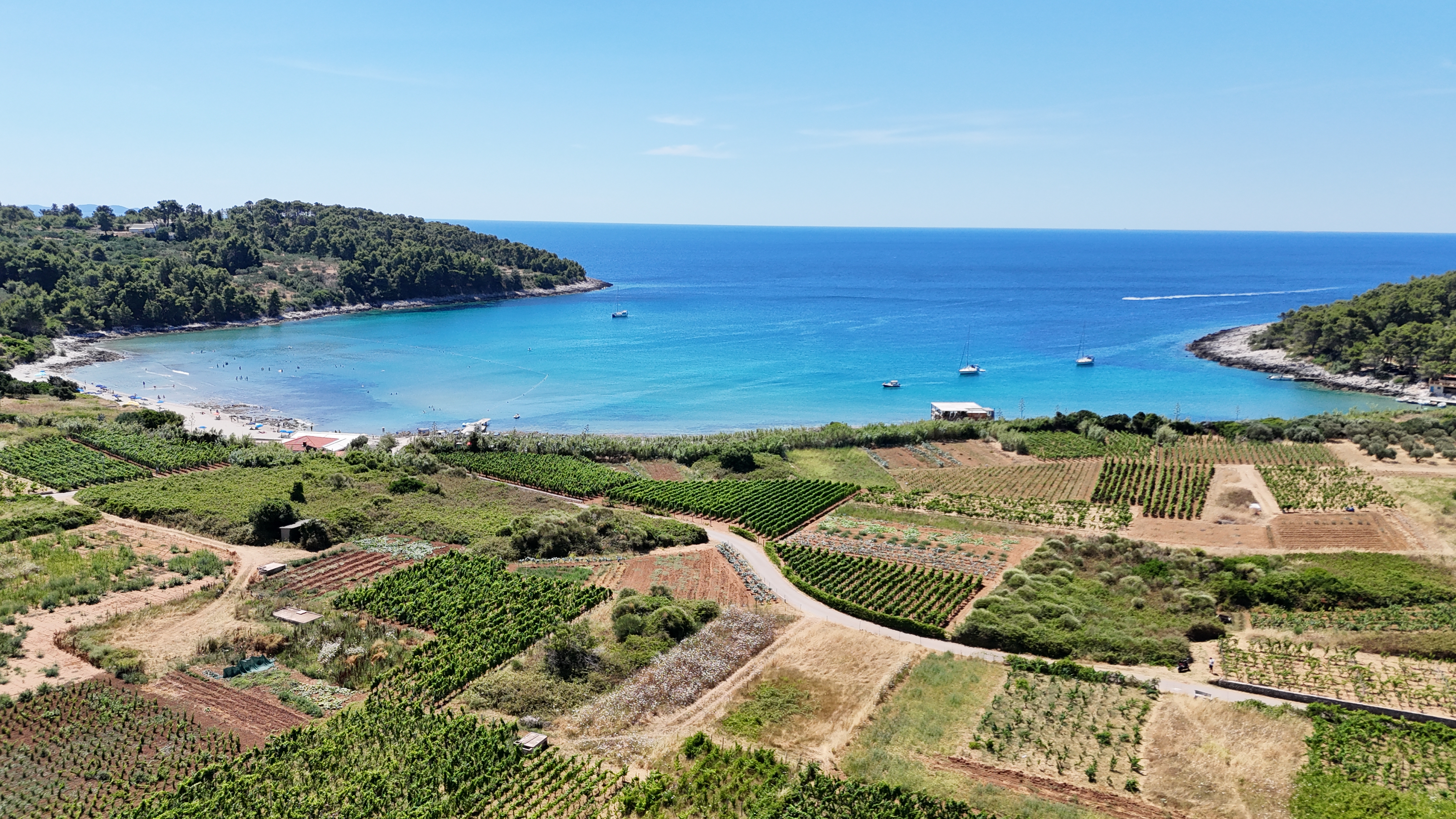 2. Vela Przina Beach - Sandy Paradise for Families